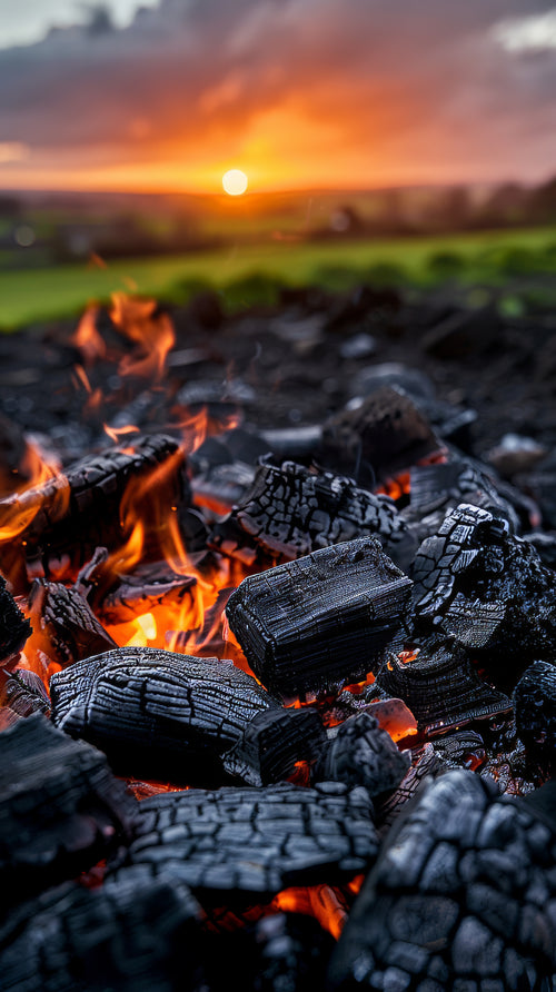 Carbon Quebracho Blanco MaraMara 2,5Kg